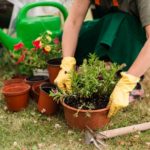 privat:-curs-de-jardinera-per-a-joves
