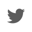 homeradiocappdwwwwp-contentuploads202005echotwitter.png