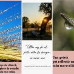 privat:-guanyadors-“haikus-i-natura”-i-“l’estiu-que-serem-invencibles”