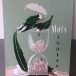 privat:-la-fira-d’indians-de-begur-s’ajorna-fins-al-2021