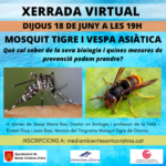 privat:-xerrada-mosquit-tigre-i-vespa-asiatica