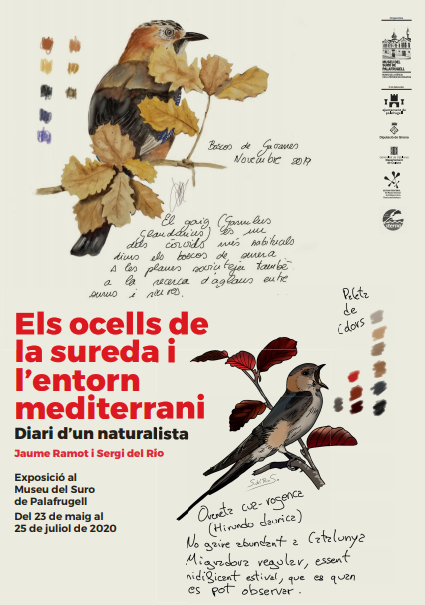 exposició ocells Museu del Suro