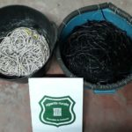 Enxampats dos pescadors furtius a Begur quan anaven a calar arts