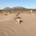 Els espais naturals de l’Empordà programen 21 sortides guiades privat:-premien-el-projecte-de-restauracio-dunar-del-parc-natural-del-montgri,-les-illes-medes-i-el-baix-ter