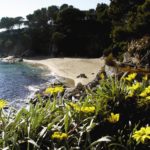 L’Ajuntament de Calonge i Sant Antoni desenvolupa una pàgina web per seguir l’aforament de les platges en directe