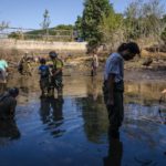 3.500 exemplars de cranc roig retirats en dos dies de voluntariat ambiental a les basses de Santa Cristina d’Aro