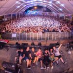 Despit demostren seguir més vius que mai! despit-demostren-seguir-mes-vius-que-mai!