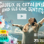 BANNER-generic-300X250-CAT
