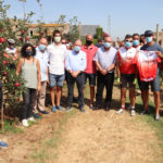 La collita de Poma de Girona baixarà aquest any fins a les 73.000 tones però serà de més qualitat poma de girona