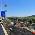 Apagat un foc a la C-31 de Platja d’Aro