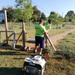Millores a l’espai per a l’esbarjo de gossos ubicat a la zona de l’Aubi