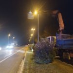 privat:-l’ajuntament-de-forallac-fa-retirar-un-niu-de-vespa-asiatica-al-poligon-industrial