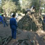 privat:-la-covid-19-forca-l’ajuntament-a-suspendre-la-carbonera-2020