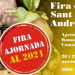 privat:-l’agreujament-de-la-pandemia-forca-l’ajuntament-a-suspendre-la-fira-de-sant-andreu-i-l’aplec-de-santa-caterina
