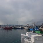 La Generalitat expedienta la flota d’arrossegament de Palamós Flota arrossegament Palamós