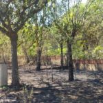 Extingit un incendi a l’antic càmping La Coma de Palamós Incendi a l'antic càmping La Coma de Palamós | Imatge de Ràdio Palamós