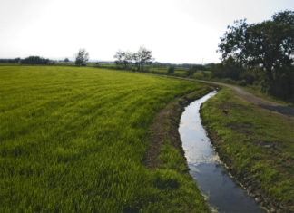 El Baix Empordà rep més de 100.000 euros dels ajuts a conreus sostenibles de la Generalitat
