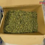 Presó sense fiança per als cinc detinguts per assaltar una casa a la Bisbal d’Empordà i ferir de gravetat un home