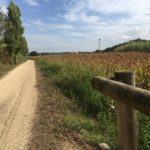 Augment significatiu de les reserves en els Costa Brava Hotels