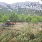tractor neteja forestal montgrí