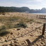 Es realitzen els treballs per protegir i consolidar les dunes de la platja de Castell