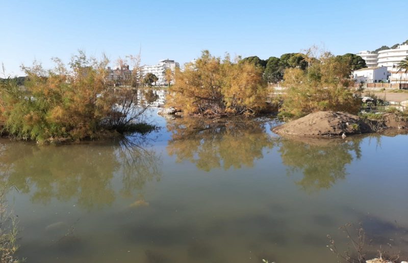 L'Estartit després del temporal d'aquest cap de setmana del 28 i 29 de Novembre 2020 | Imatge cedida a Ràdio Capital de l'Empordà