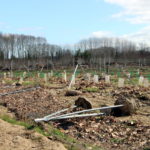 El Departament d’Agricultura destina 2.379.366,75€ a l’Empordà en ajuts destinats a les explotacions agràries afectades pel DANA i el Glòria