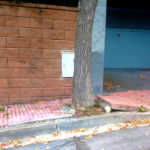 varwwwvhostsradiocapital.cathttpdocswp-contentuploads202011echosiwtc.jpg
