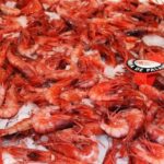 L’Ajuntament de Palamós posa en marxa una plataforma de venda on-line destinada als establiments locals Gamba de Palamós