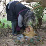 Els alimentadors de gats de carrer gironins denuncien agressions i amenaces constants per part de veïns