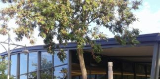 Platja d’Aro acull un concert solidari de gòspel per donar suport a la Fundació SERGI associació