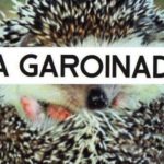 Es manté finalment el polèmic cartell de la Garoinada de Palafrugell Cartell retirat Garoinada, IPEP