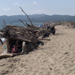 Adéu a les barraques de troncs de la Gola del Ter i altres restes vegetals gola del ter