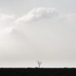 L’exposició fotogràfica de Xavier Manrique “Aire” encara es pot veure al Museu de la Mediterrània de Torroella