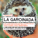 varwwwvhostsradiocapital.cathttpdocswp-contentuploads202012echoCartell_Garoinada_2021.png