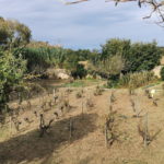 varwwwvhostsradiocapital.cathttpdocswp-contentuploads202012echoobresmur_fonteta_6.jpg5fd0c540a1316.jpg