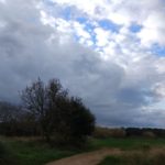 La neu fa acte de presència per Nadal al Baix Empordà