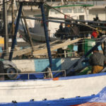 El 13 de març s’escollirà nou patró major de la Confraria de Palamós