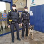 La Policia Local de Palafrugell incorpora una unitat canina per fer front al consum i tinença de substàncies estupefaents privat:-la-policia-local-de-palafrugell-incorpora-una-unitat-canina-per-fer-front-al-consum-i-tinenca-de-substancies-estupefaents