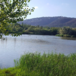 Aramis Justiz exposarà 13 peces escultòriques al Parc dels Estanys parc dels estanys Platja d'Aro Natura Sterna