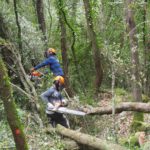 Life Biorgest inverteix en la millora de la biodiversitat al Baix Empordà i finalitza els treballs demostratius