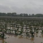 David Casadellà: “Encara no he rebut els ajuts per les destrosses del Glòria”