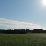 Nova setmana d’ambient càlid per l’època de l’any