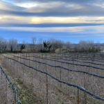 VÍDEO: Les ajudes per reparar els danys del temporal Glòria no han arribat al Baix Ter