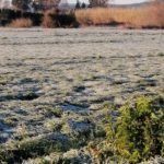 Fred i gelades matinals amb domini de l’ambient assolellat Gelada camp Palafrugell