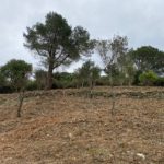 Avancen les franges perimetrals de Begur franges perimetrals begur