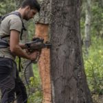 20 anys del laboratori de l’Institut Català del Suro al servei de la indústria surera