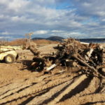 privat:-arrenca-el-dispositiu-especial-de-neteja-de-les-restes-vegetals-que-els-temporals-han-acumulat-a-les-platges