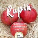 privat:-ecomercat-mon-emporda-–-1er-dissabte-de-cada-mes-a-rupia