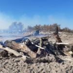 privat:-s’inicia-la-crema-de-les-restes-vegetals-dipositades-pel-temporal-gloria-a-les-platges-de-torroella-i-de-l’estartit